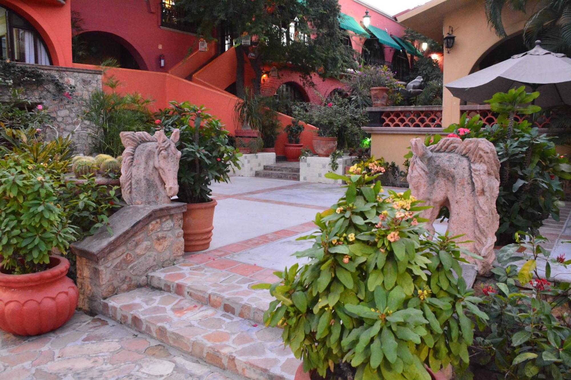 Collection O Casa Bella Hotel Boutique, Cabo San Lucas Exteriör bild