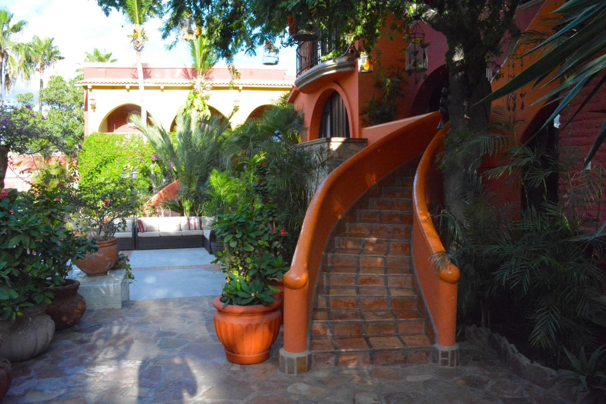 Collection O Casa Bella Hotel Boutique, Cabo San Lucas Exteriör bild
